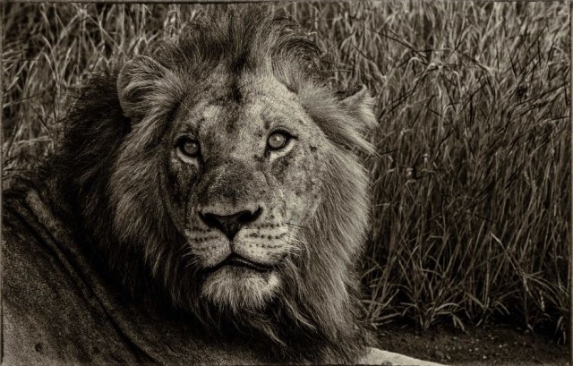 Calm Before the Storm